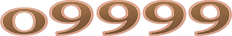 o9999 লোগো